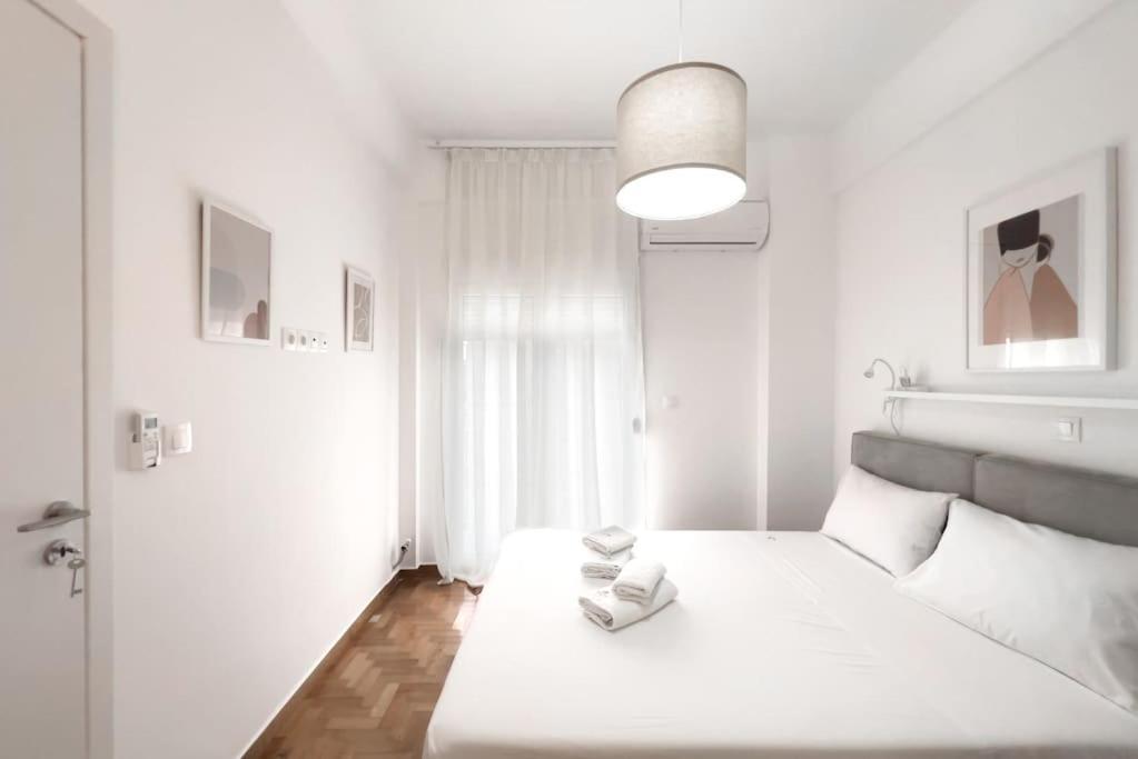 Spacious Penthouse Near Downtown Athènes